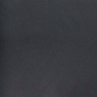 Мойка кухонная Wisent 780-25WP