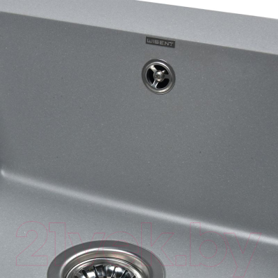 Мойка кухонная Wisent 780-29WP