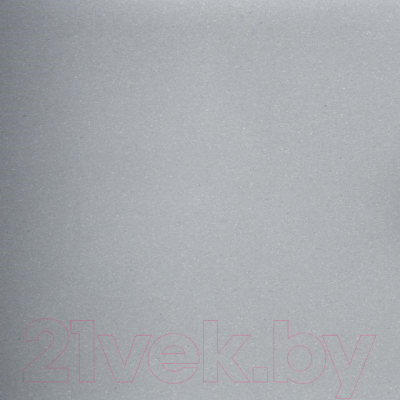 Мойка кухонная Wisent 780-29WP