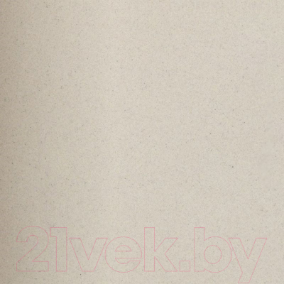 Мойка кухонная Wisent 780-30WP