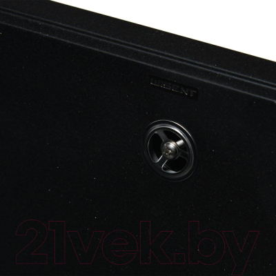 Мойка кухонная Wisent 580-25WQ