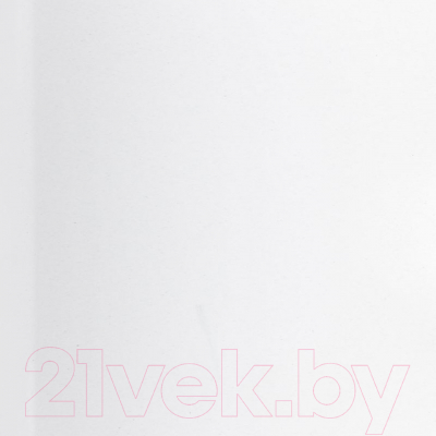 Мойка кухонная Wisent 580-28WQ