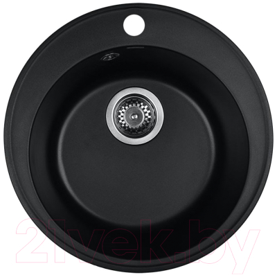 Мойка кухонная Wisent 480-26WR - фото