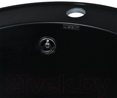 Мойка кухонная Wisent 480-26WR