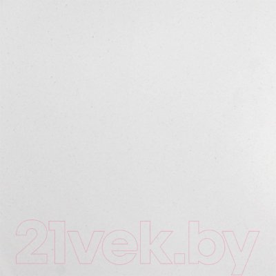 Мойка кухонная Wisent 480-28WR