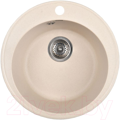 Мойка кухонная Wisent 480-30WR - фото