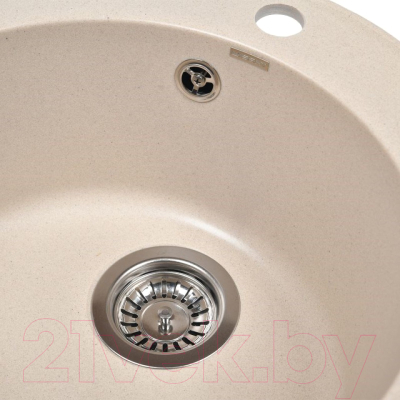 Мойка кухонная Wisent 480-30WR