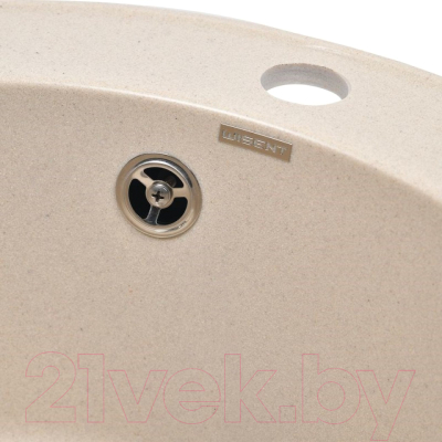 Мойка кухонная Wisent 480-30WR