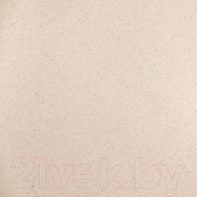 Мойка кухонная Wisent 480-30WR