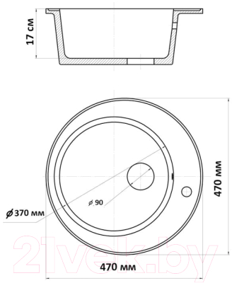 Мойка кухонная Wisent 480-30WR