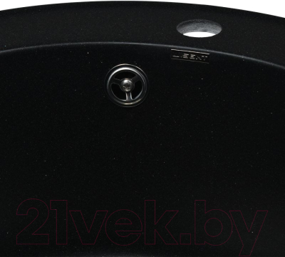 Мойка кухонная Wisent 510-25WR