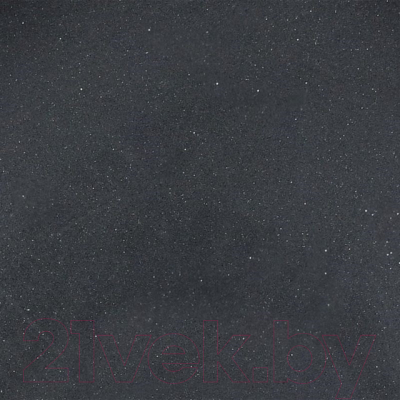 Мойка кухонная Wisent 510-25WR