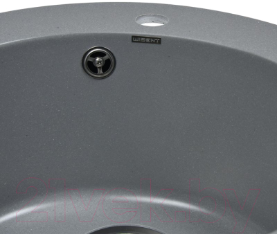 Мойка кухонная Wisent 510-29WR