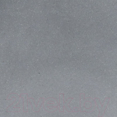 Мойка кухонная Wisent 510-29WR