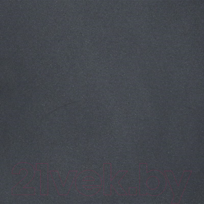 Мойка кухонная Wisent 620-26WR