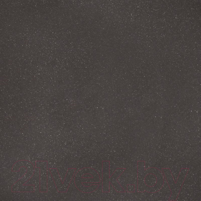 Мойка кухонная Wisent 620-27WR