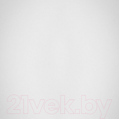 Мойка кухонная Wisent 620-28WR