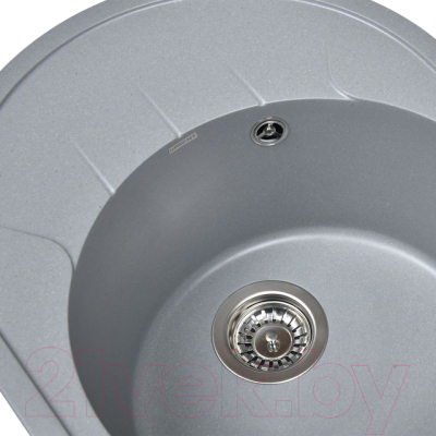 Мойка кухонная Wisent 620-29WR