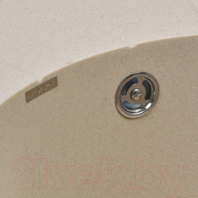 Мойка кухонная Wisent 620-30WR