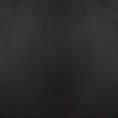 Мойка кухонная Wisent 760-25WR