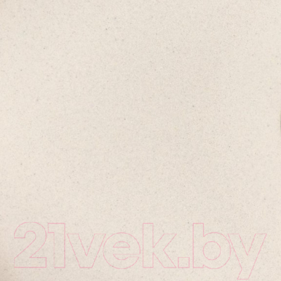 Мойка кухонная Wisent 760-30WR