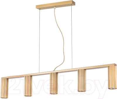 Потолочный светильник Lightstar Roma 718053 (MD2166-5B) - фото