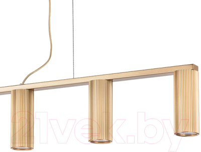 Потолочный светильник Lightstar Roma 718053 (MD2166-5B)