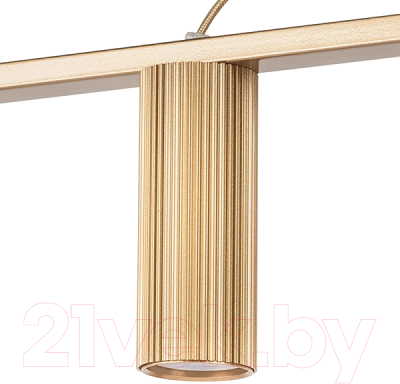 Потолочный светильник Lightstar Roma 718053 (MD2166-5B)