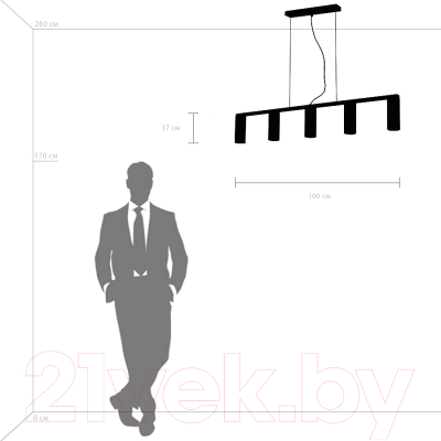 Потолочный светильник Lightstar Roma 718053 (MD2166-5B)
