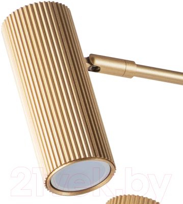 Люстра Lightstar Roma 718263 (MD2166-6A)