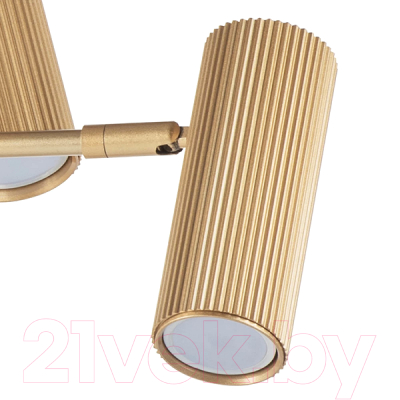 Люстра Lightstar Roma 718263 (MD2166-6A)