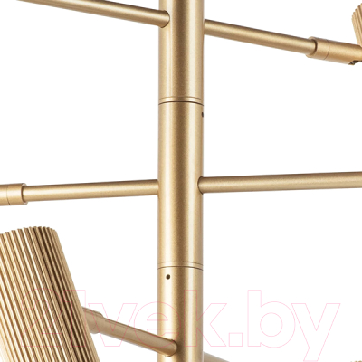 Люстра Lightstar Roma 718263 (MD2166-6A)