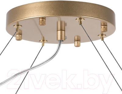 Люстра Lightstar Bari 815283 (MD9500-8B)