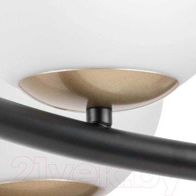 Люстра Lightstar Croco 815360 (MD21055-6B)