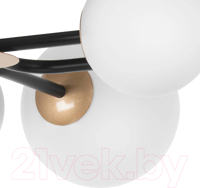 Люстра Lightstar Croco 815380 (MX21055-8B)