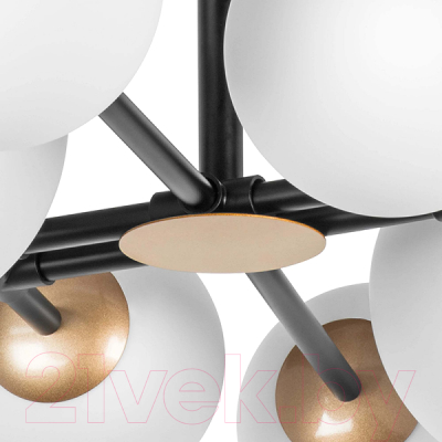 Люстра Lightstar Croco 815480 (MD21055-8A)