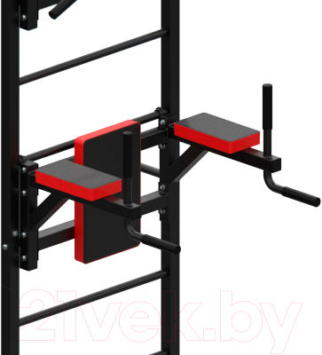 Шведская стенка DFC D-1235