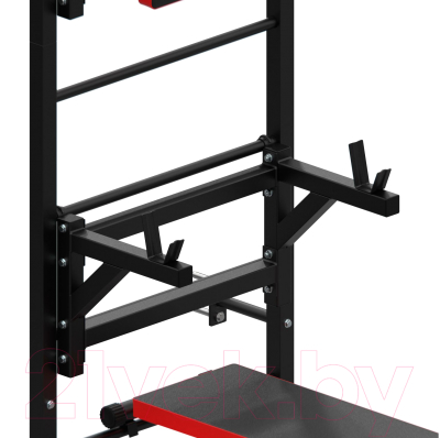 Шведская стенка DFC D-12345