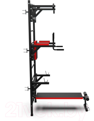 Шведская стенка DFC D-12345