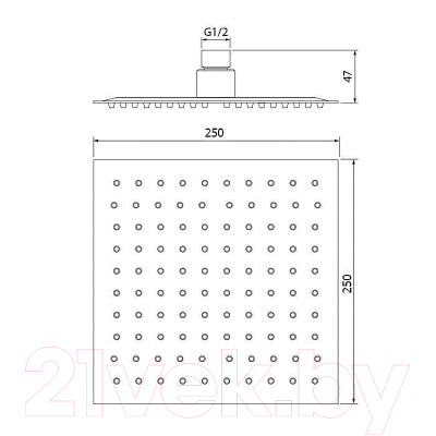 Верхний душ WeltWasser HS 25S