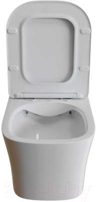 Унитаз подвесной White Wave Promo