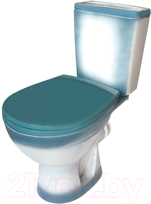 Унитаз напольный Rosa Соло - фото