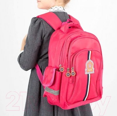 Школьный рюкзак Chinllo 382-6387-PNK (фуксия)