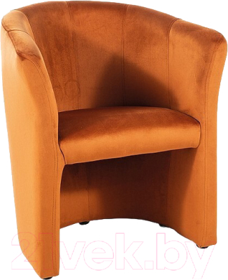 Кресло мягкое Signal TM-1 Velvet - фото