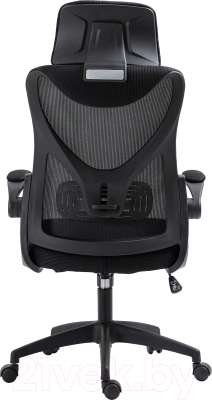 Кресло офисное Mio Tesoro Молизе AF-C4219 (черный)