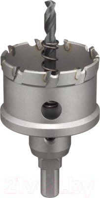 Коронка Milwaukee 4932479048 - фото