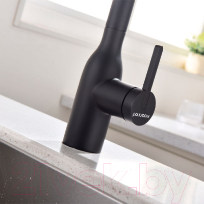 Смеситель Paulmark Viper Vi213105-401