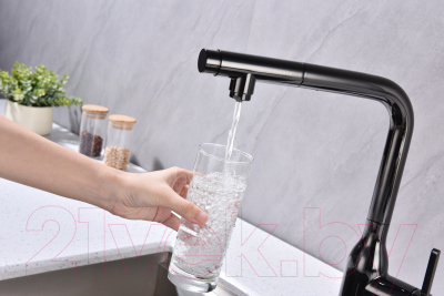 Смеситель Paulmark Viper Vi213105-GB