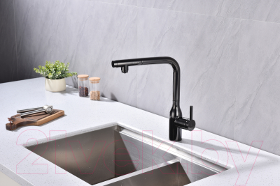 Смеситель Paulmark Viper Vi213105-GB