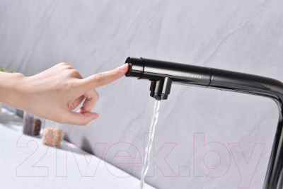 Смеситель Paulmark Viper Vi213105-GB